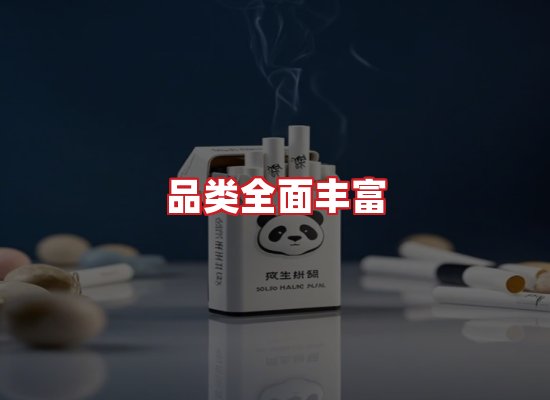 专业团队